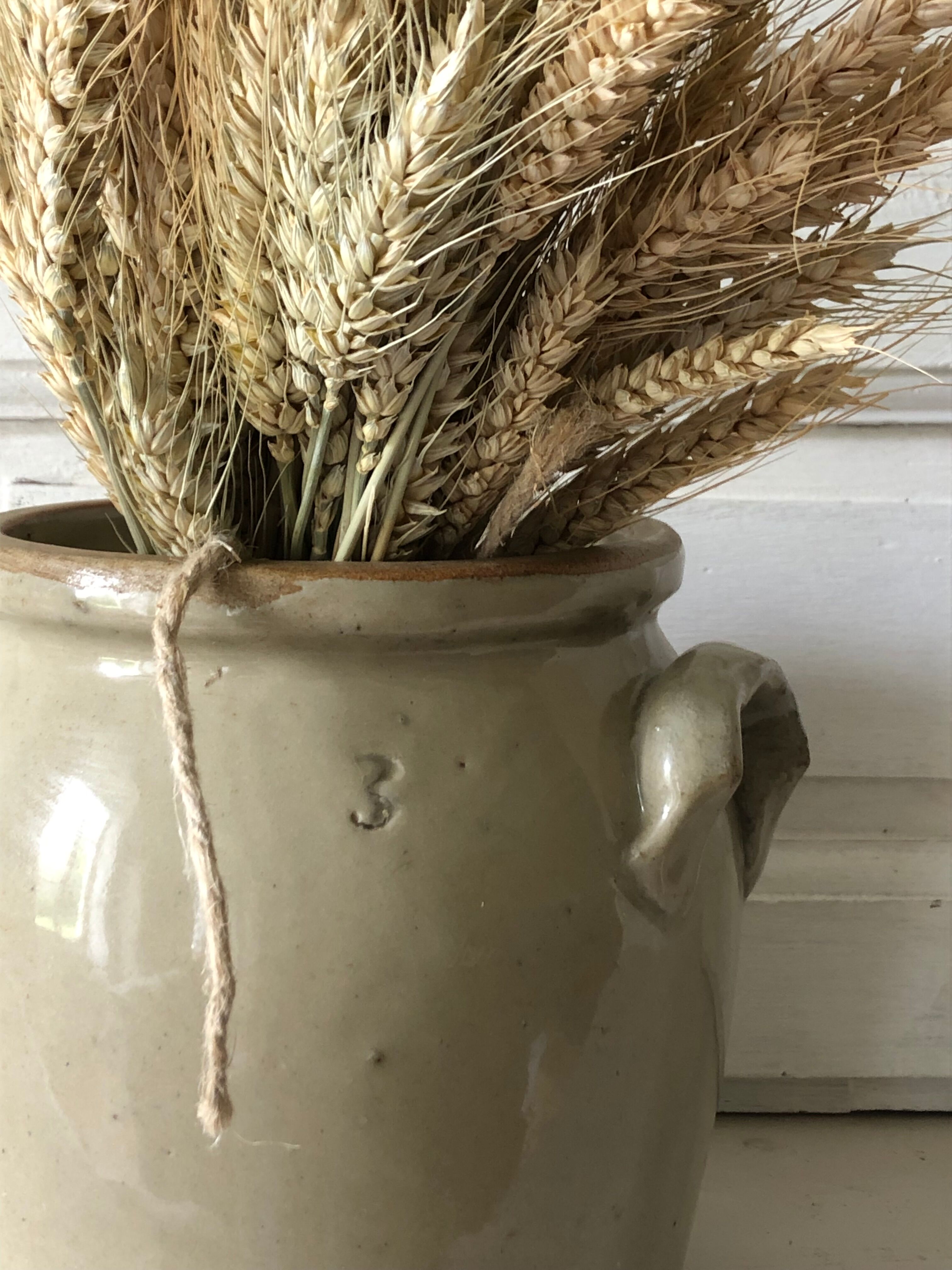Eared stoneware pot