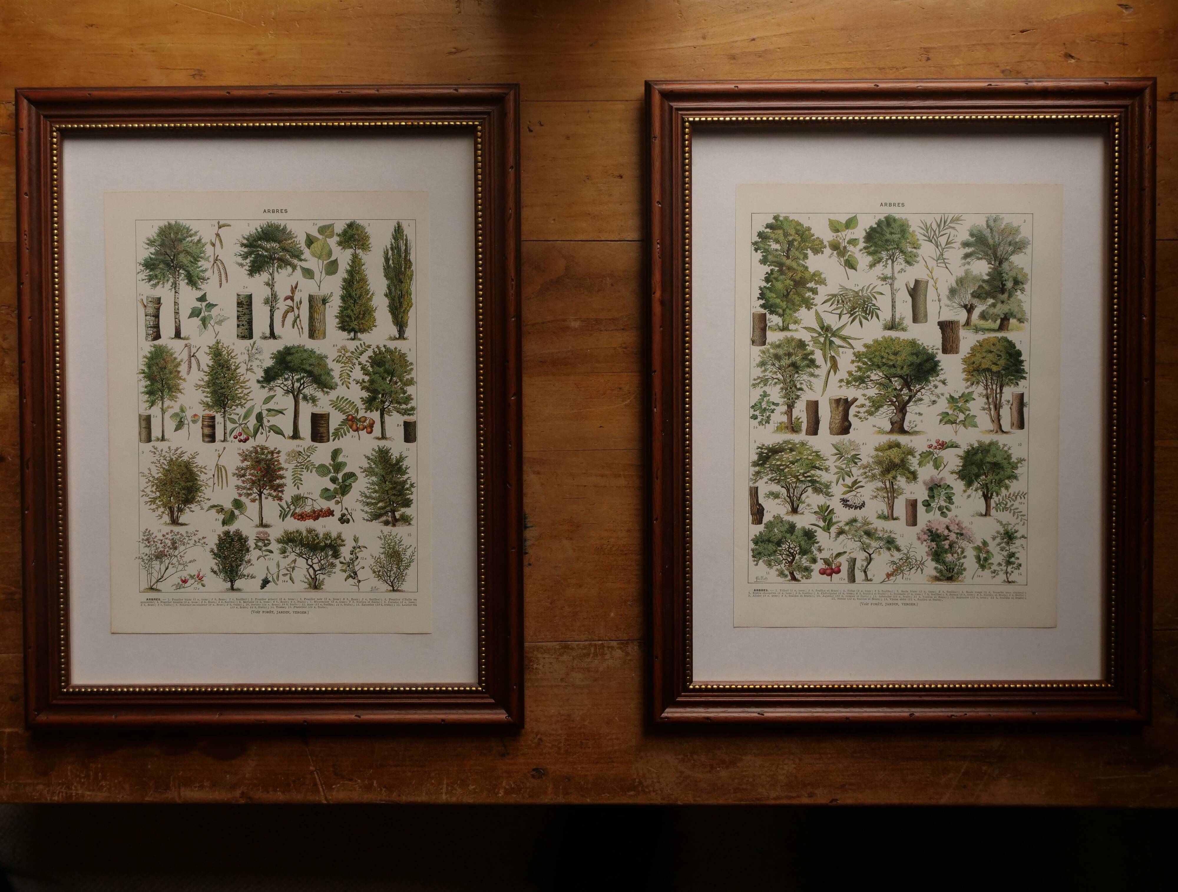 Original lithograph on the sky