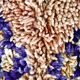 Boujaad Vintage Moroccan Berber rug in excellent condition 338 x 190 cm