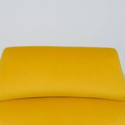Mid-Century Armchair by Gigi Radice for Minotti, Italy, 1960s