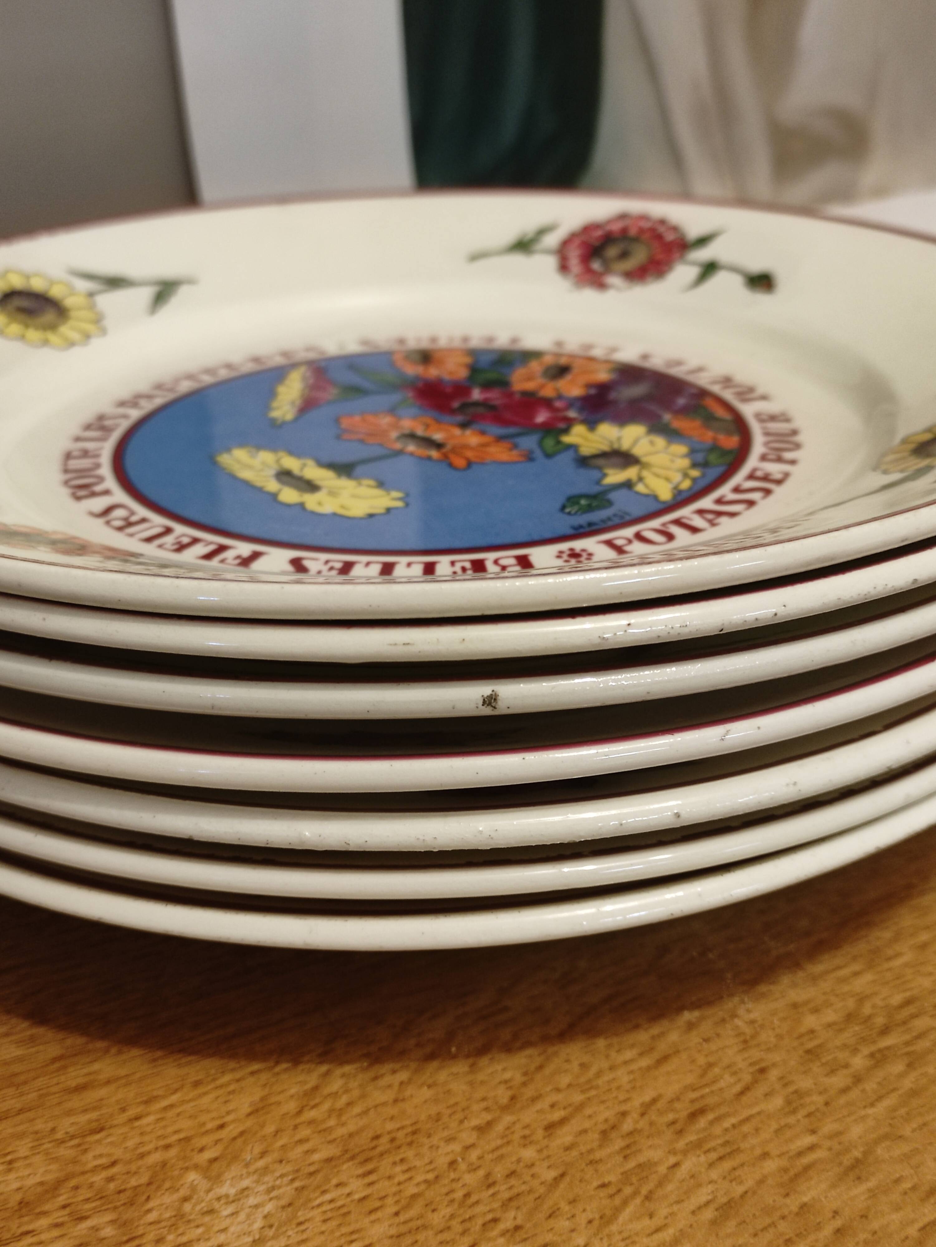 Lunéville 7 flat plates Potash by Hansi