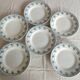 Ensemble de 6 assiettes plates terre de fer St Amand 4006