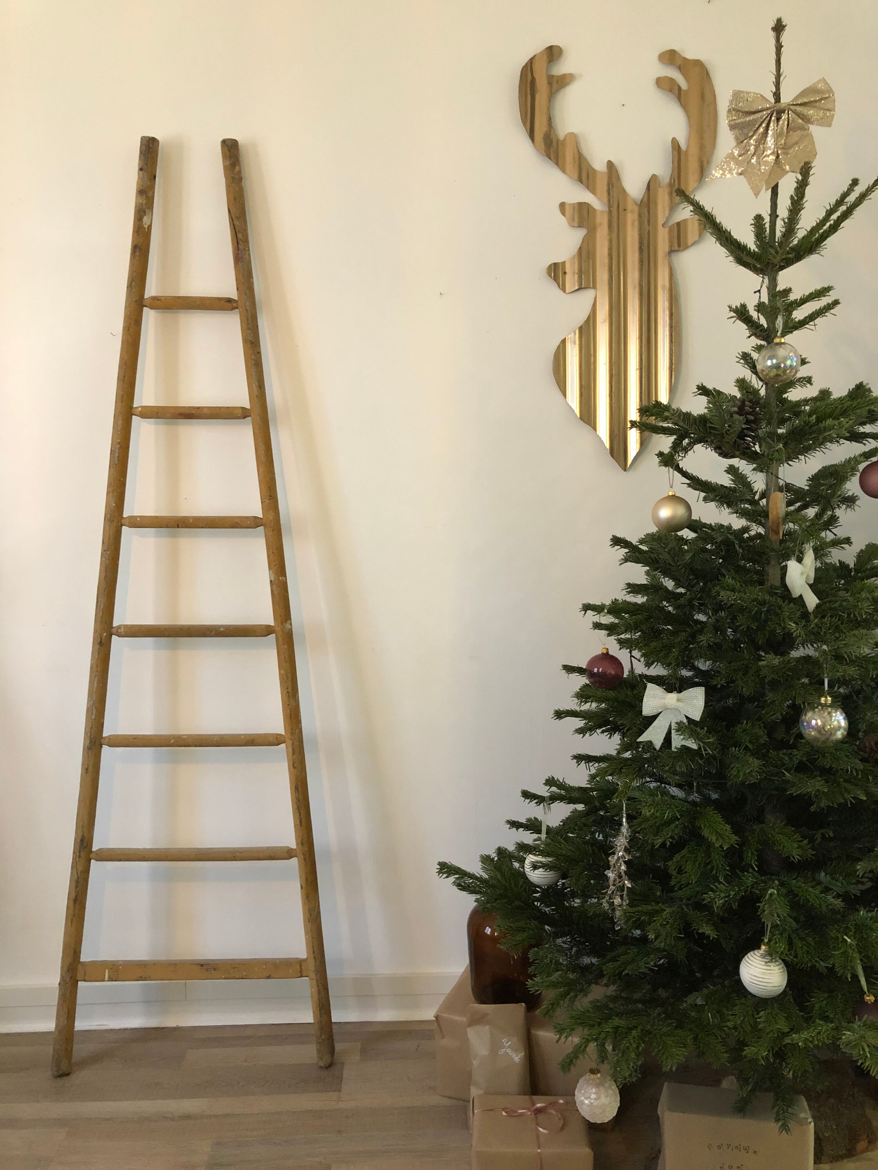 Solid wood ladder