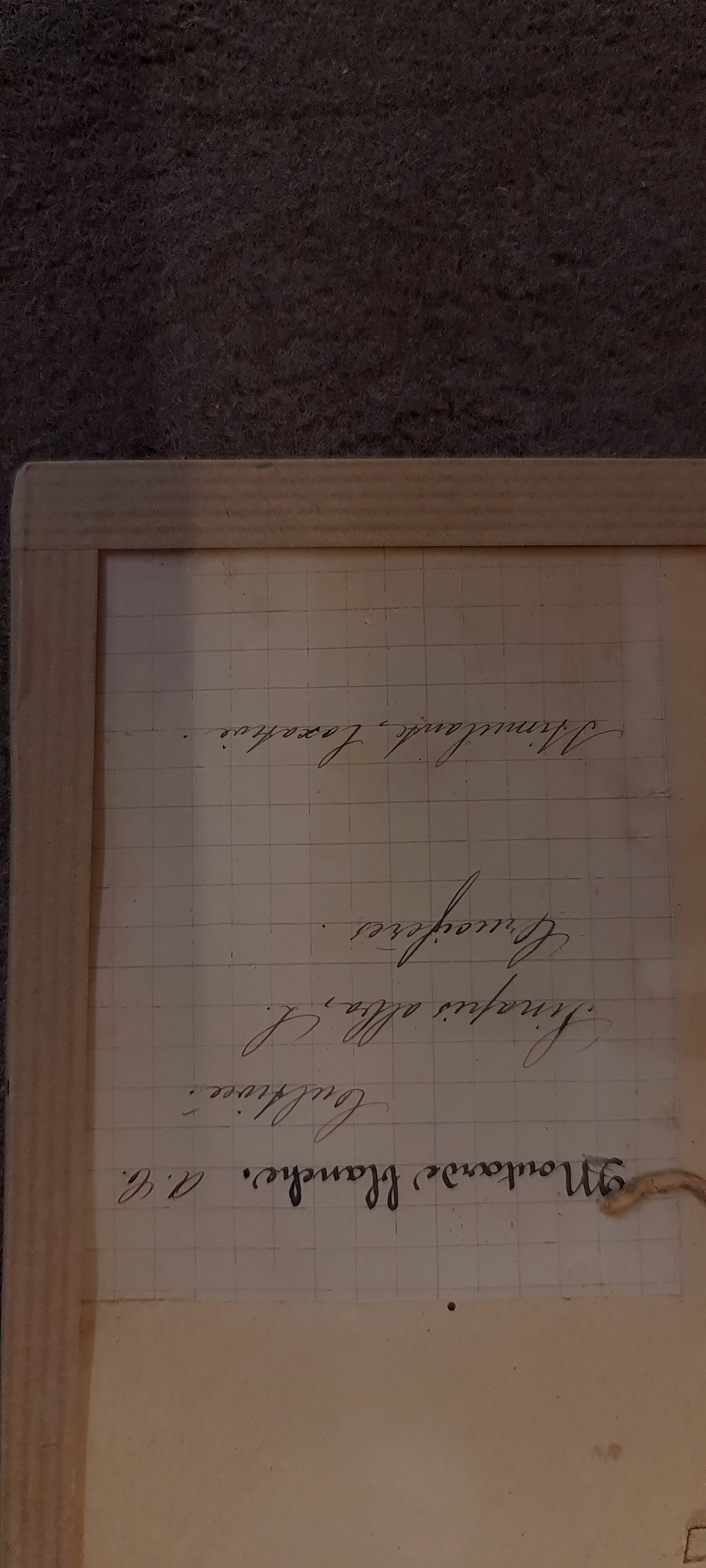 19th herbarium plank