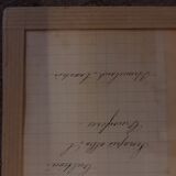 19th herbarium plank