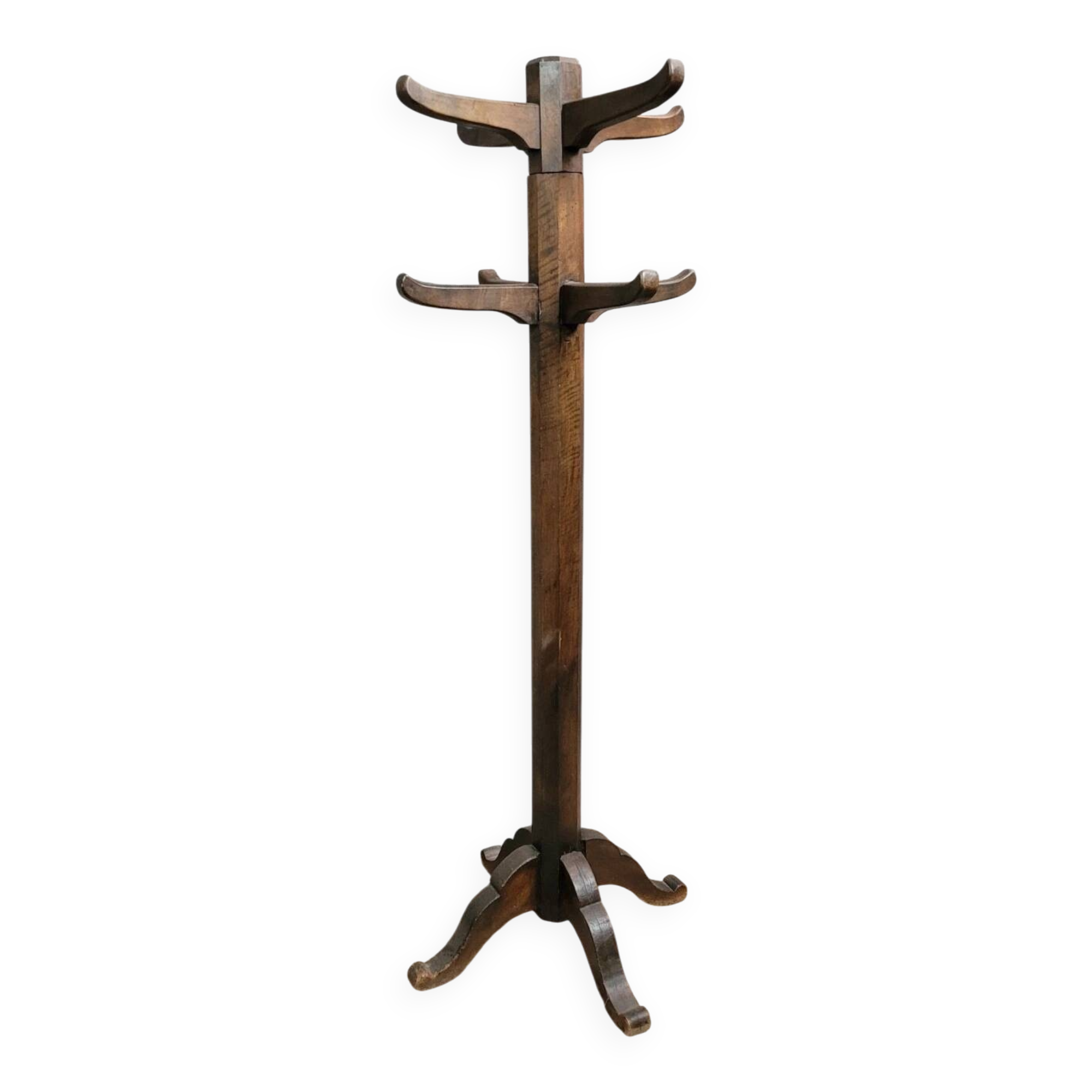 French design parrot coat rack in solid wood from the 1950s.