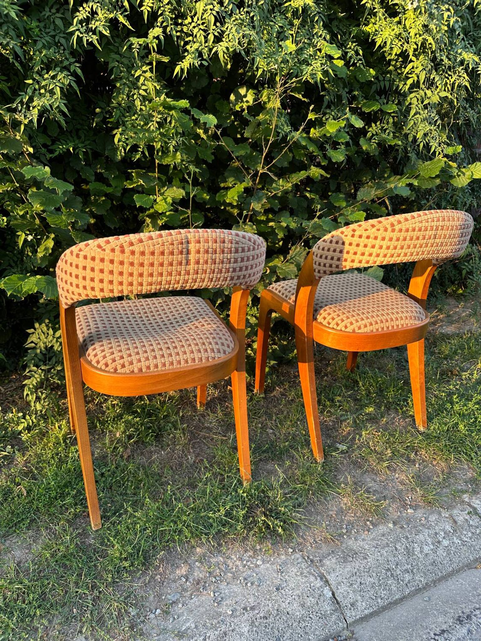 Paire de chaises vintage design années 50/60 style Baumann