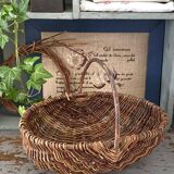 Foraging basket