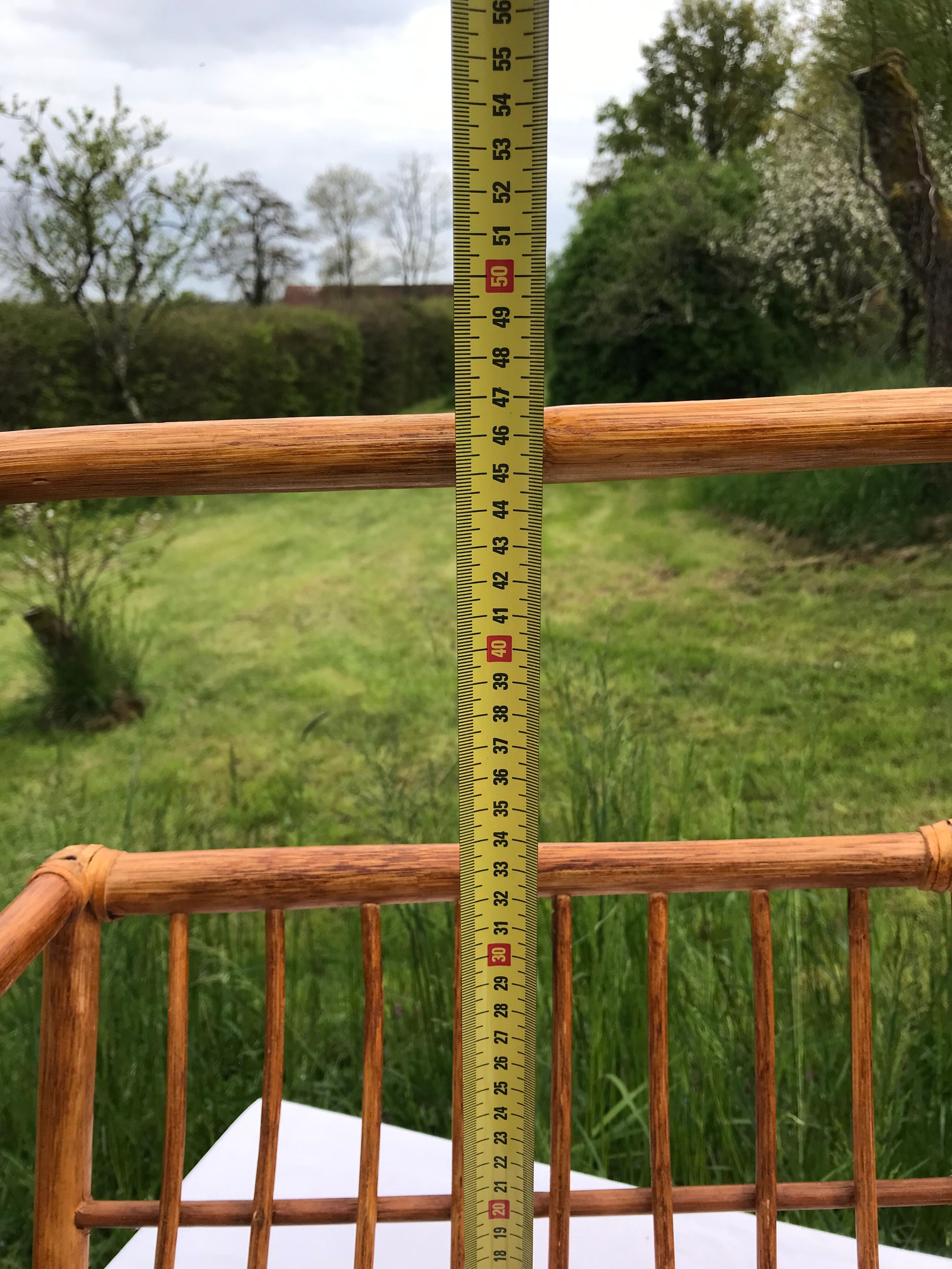 Rattan magazine holder