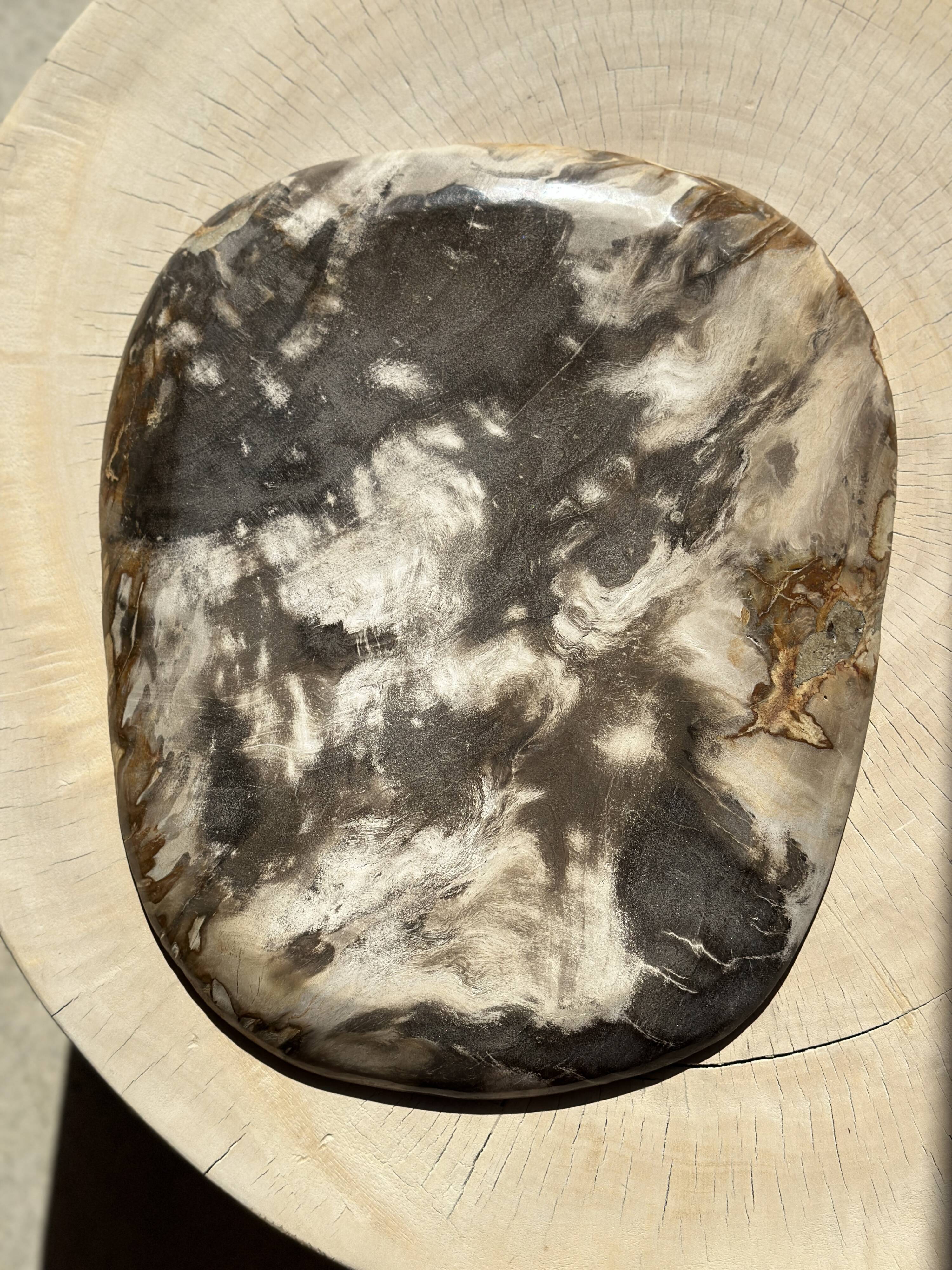 Very large pocket or dish in petrified wood