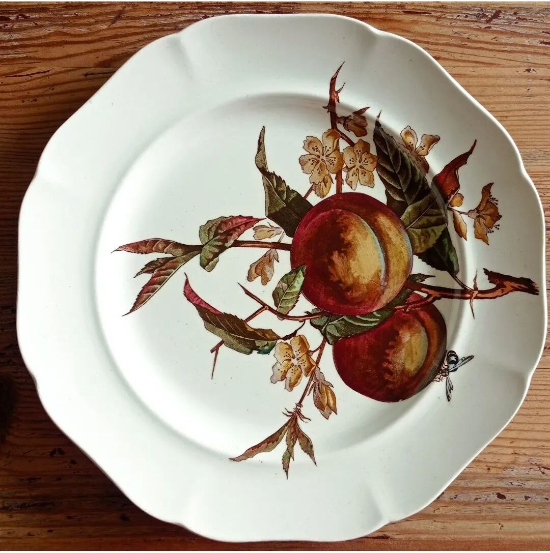4 assiettes plates Brown-Westhead Moore and Co