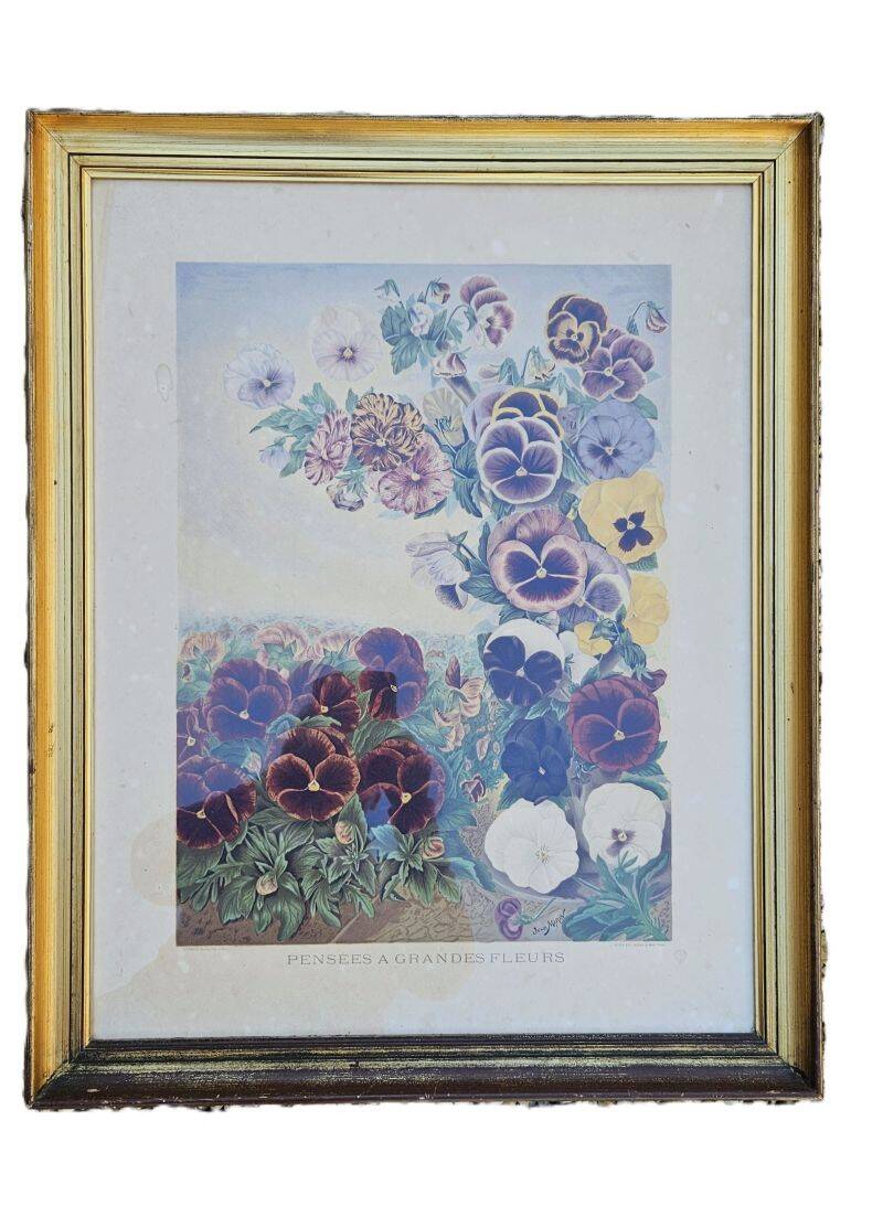Julia Marin - Impression Thoughts on Large Flowers Around 1900