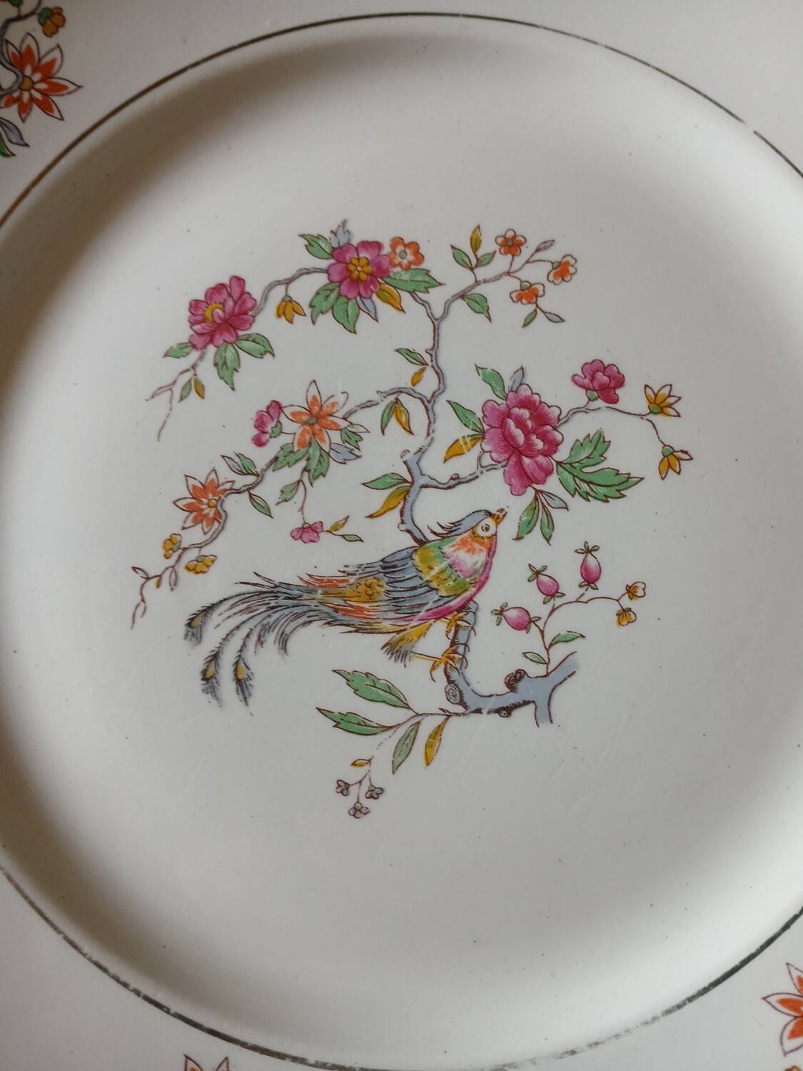 5 old Moulin des loups flat plates