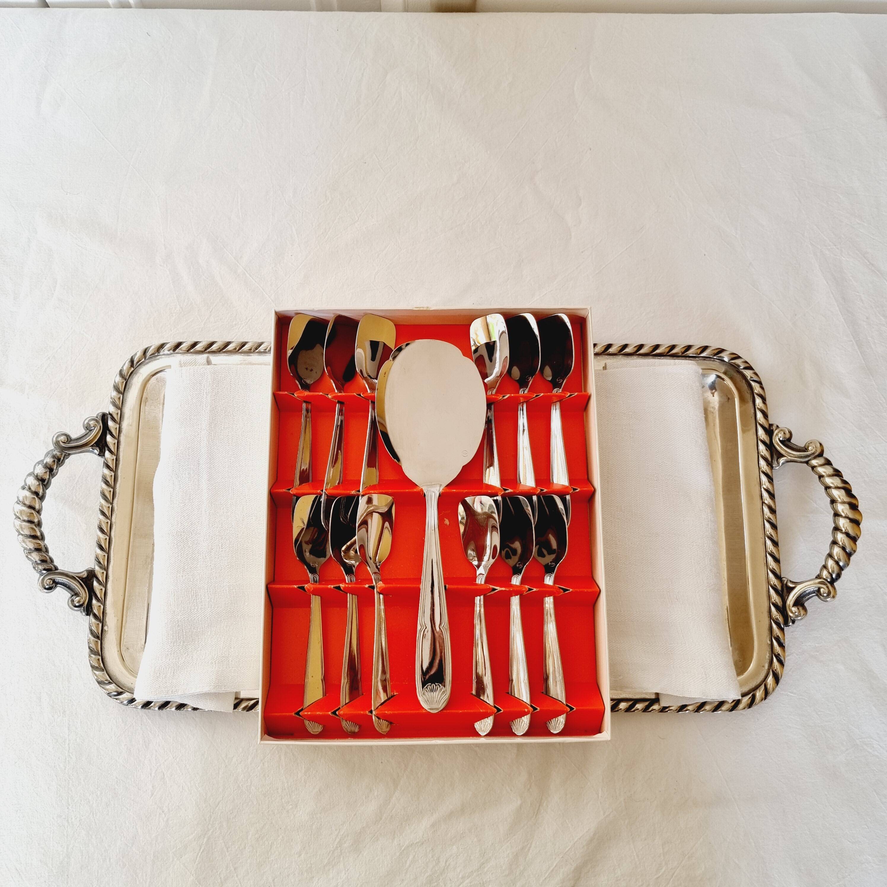Box with 12 vintage spoons and spoon for serving ice cream in stainless steel