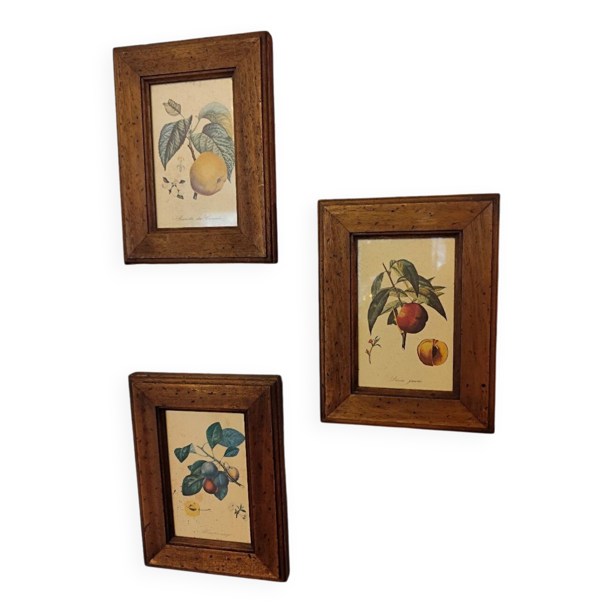Set of three small framed fruit prints