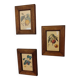 Set of three small framed fruit prints