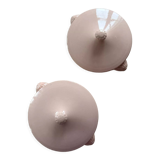 Set tureen and vegetable Sarraguemines Digoin