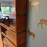 Antique Globe Wernicke Bookcase
