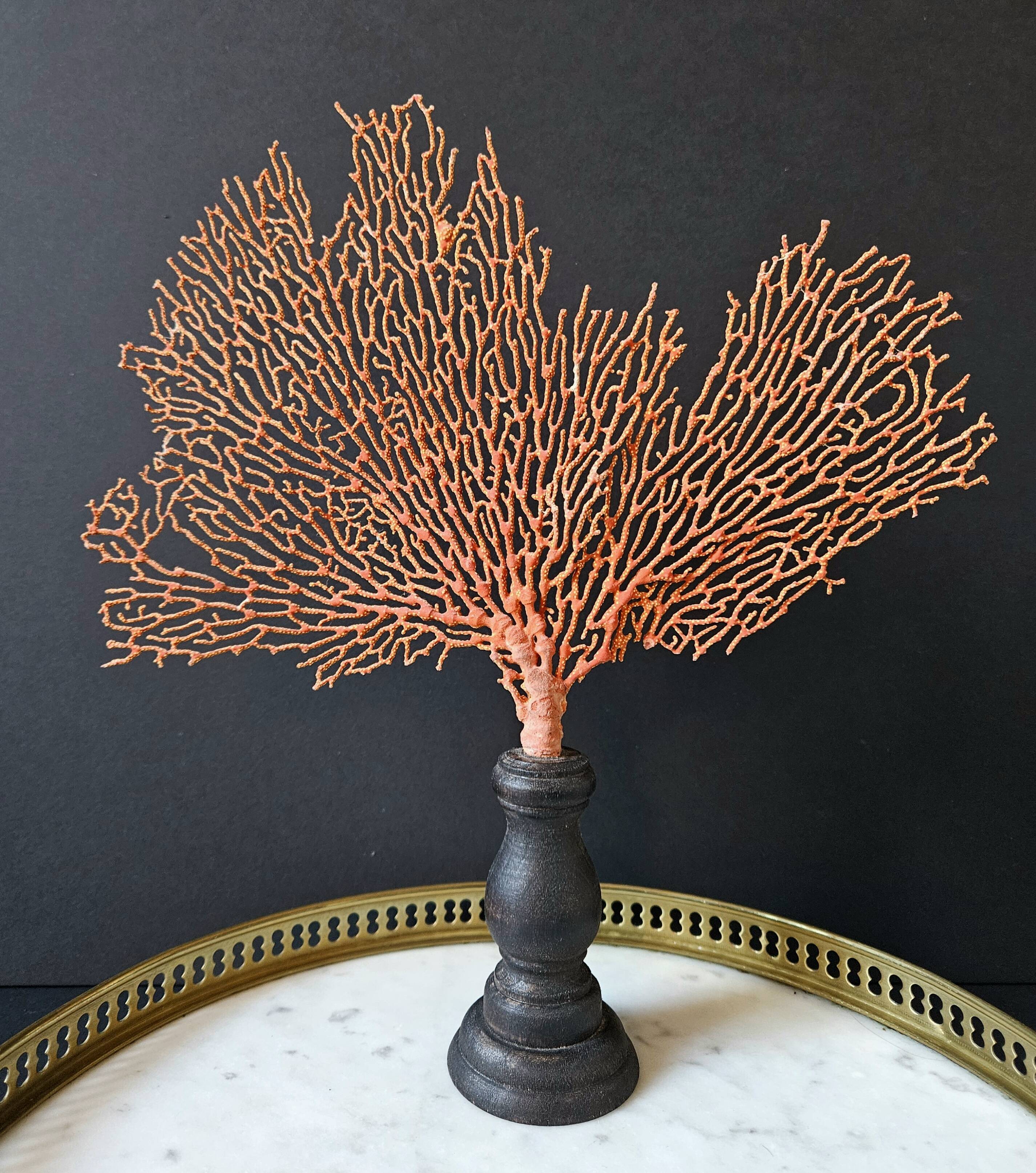 Red Gorgon Base in brown. H: 29 cm | Decorative Object & Curiosity