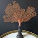 Red Gorgon Base in brown. H: 29 cm | Decorative Object & Curiosity