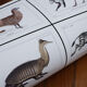Lot de 2 chimère encadrées lithographie gravure animal