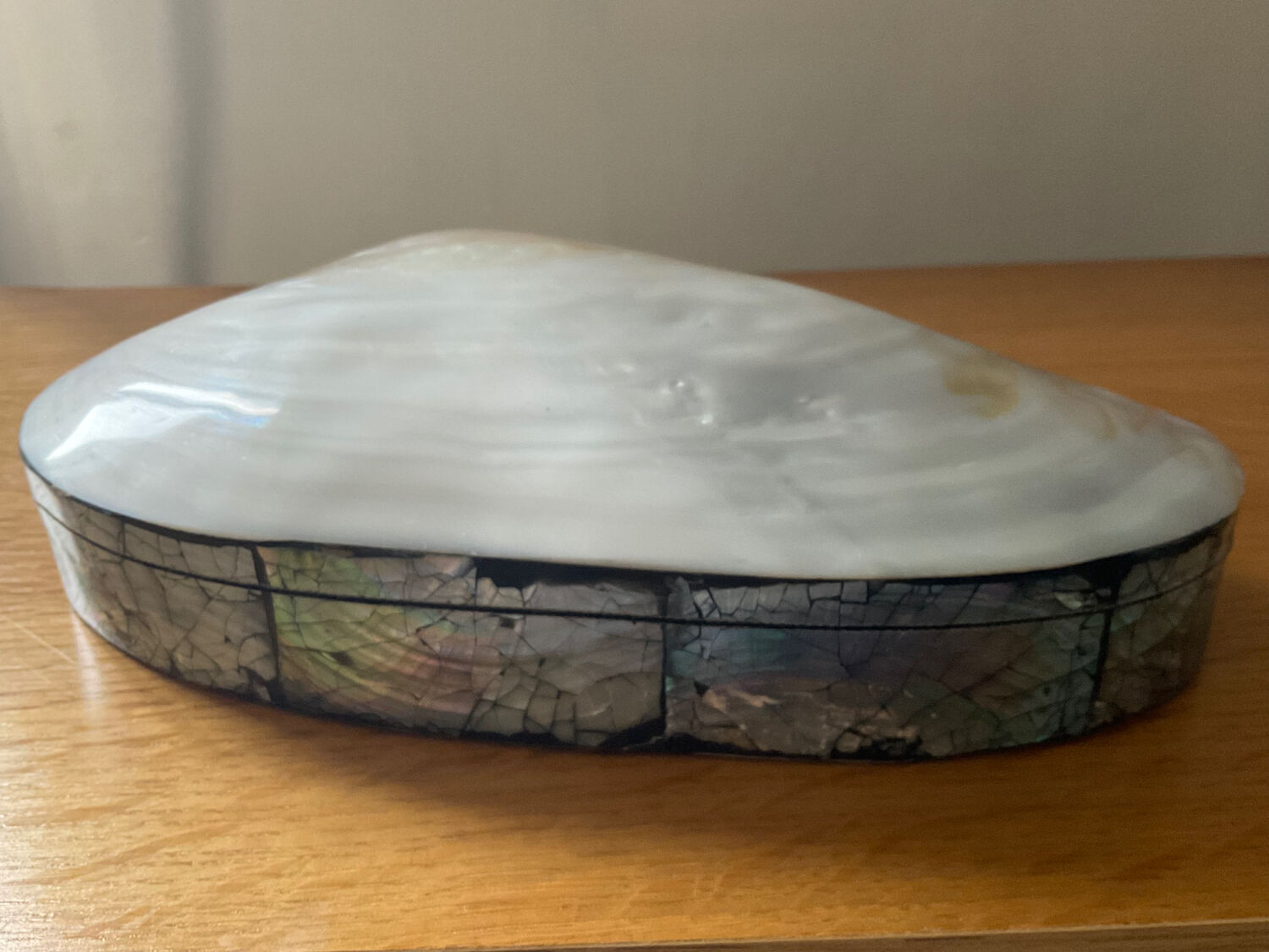 Empty pocket vintage shell mother-of-pearl 70s