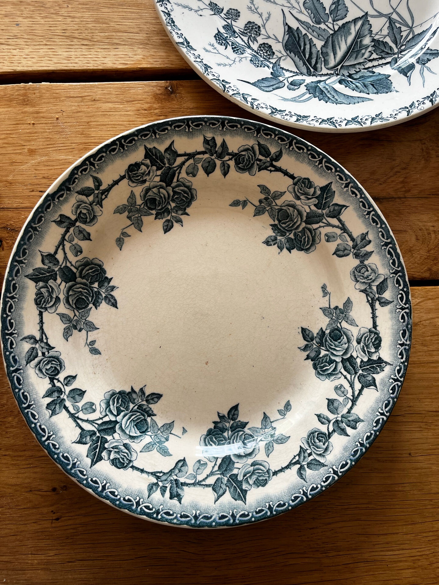 6 assiettes terre de fer