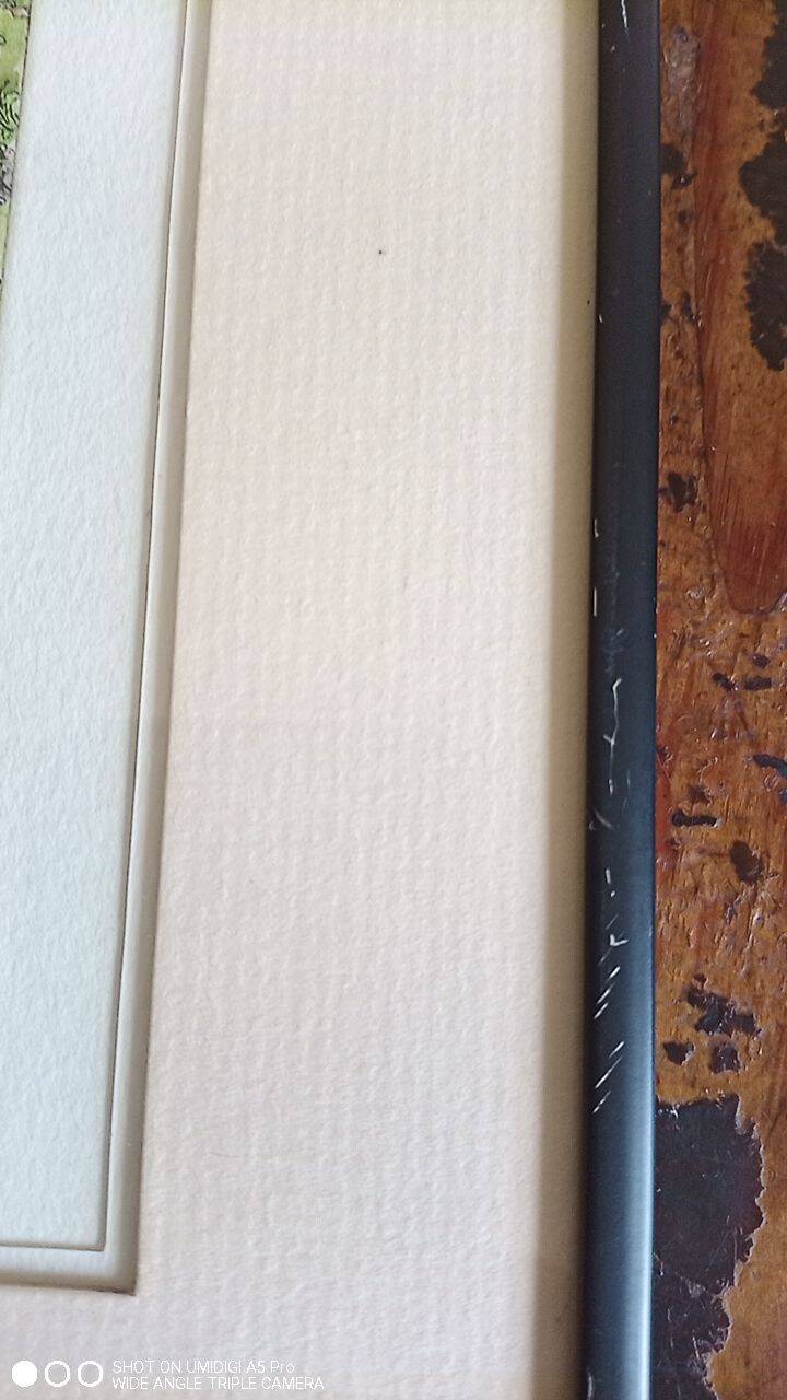 Enhanced etching - Christine Delessert - Lyonnaise school