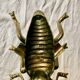 Vintage brass ashtray in the shape of a fly - Made in Italy