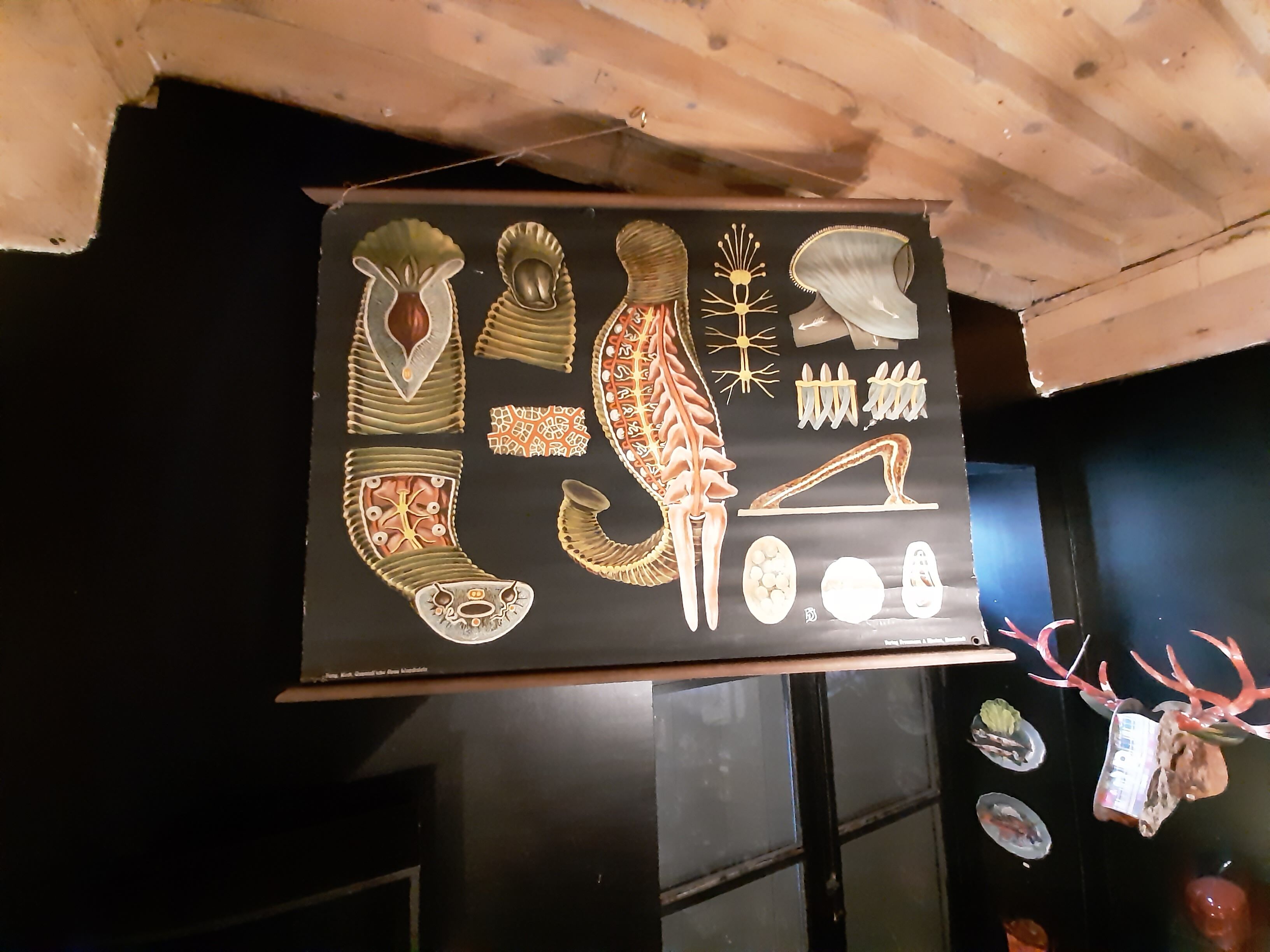 The Lehrmittelverlag Hagemann didactic board