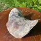 Large seashell: Placuna