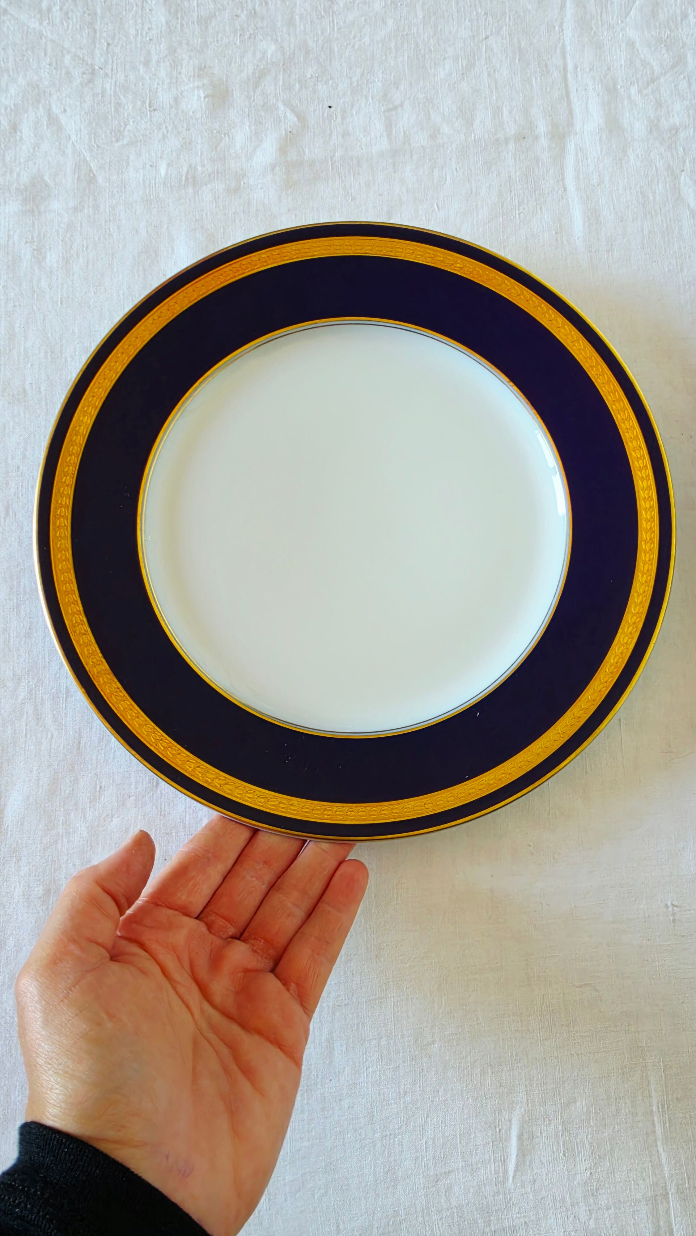 Service de 6 assiettes plates Rosenthal Classic Rose