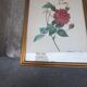 Botanical board