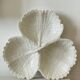 White earthenware plate