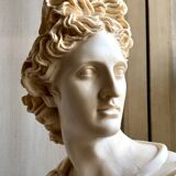 Beige bust of Apollo on black pedestal