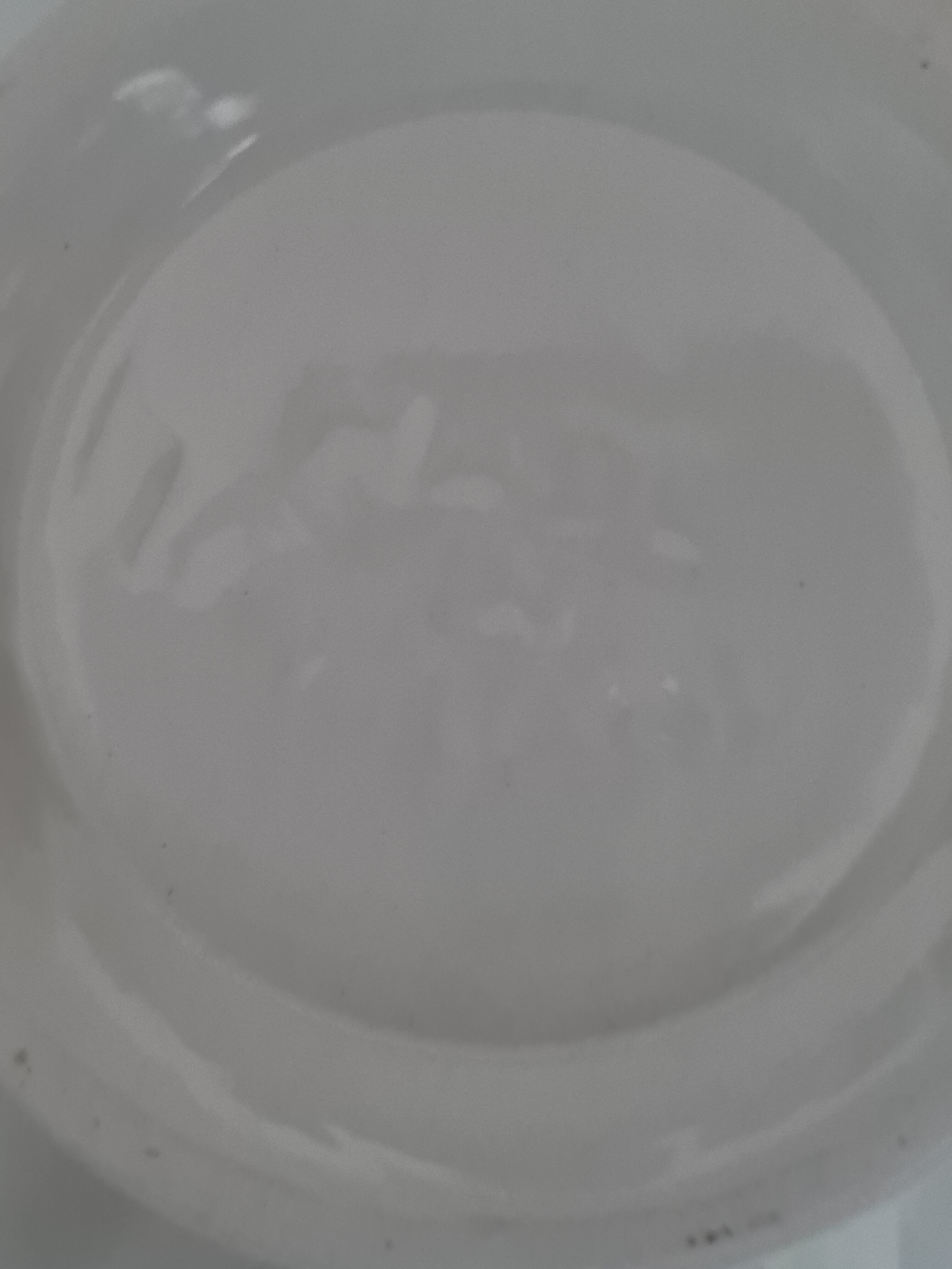 English white porcelain sugar bowl