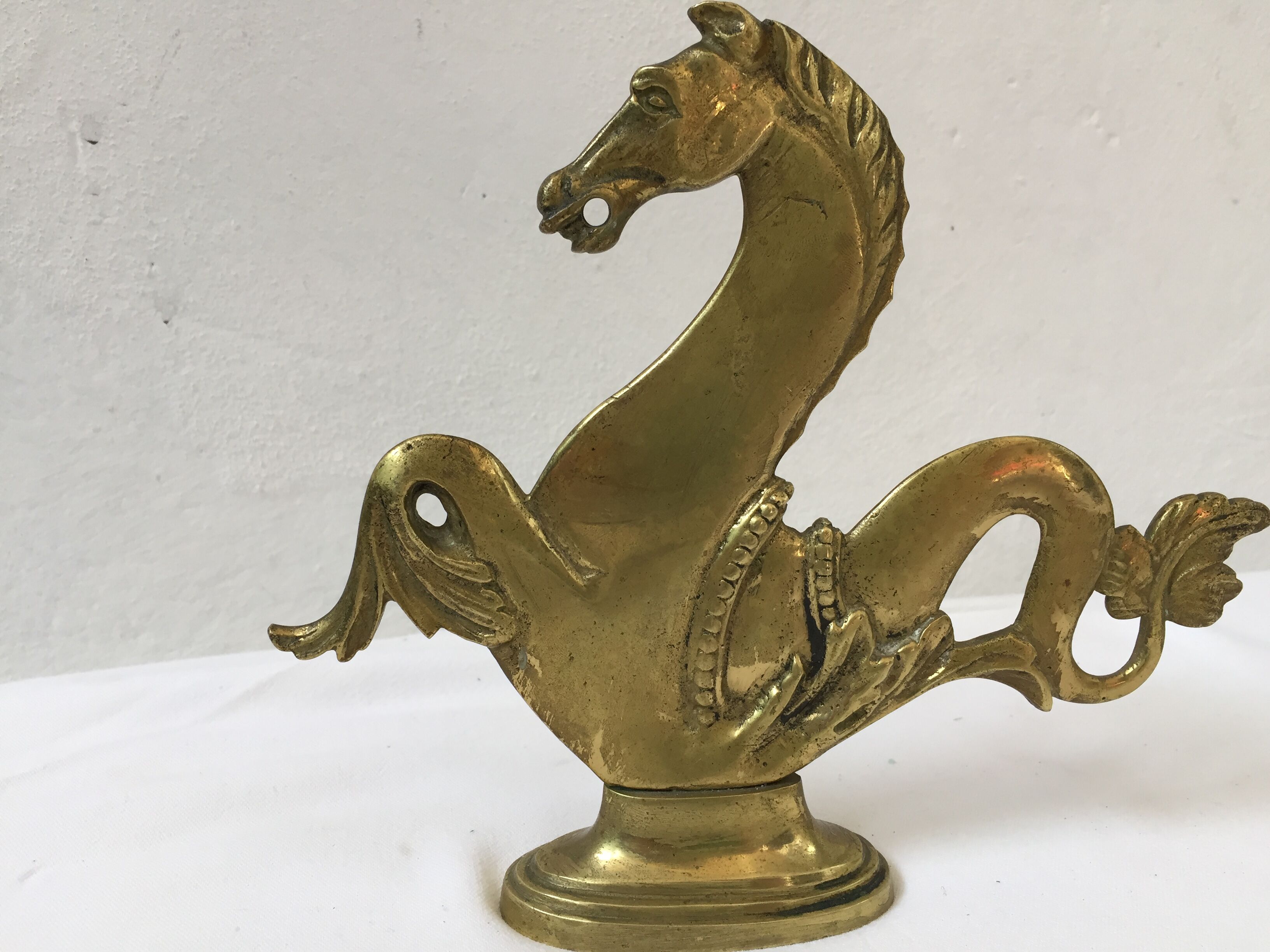 Hippocampus brass years 70