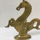 Hippocampus brass years 70