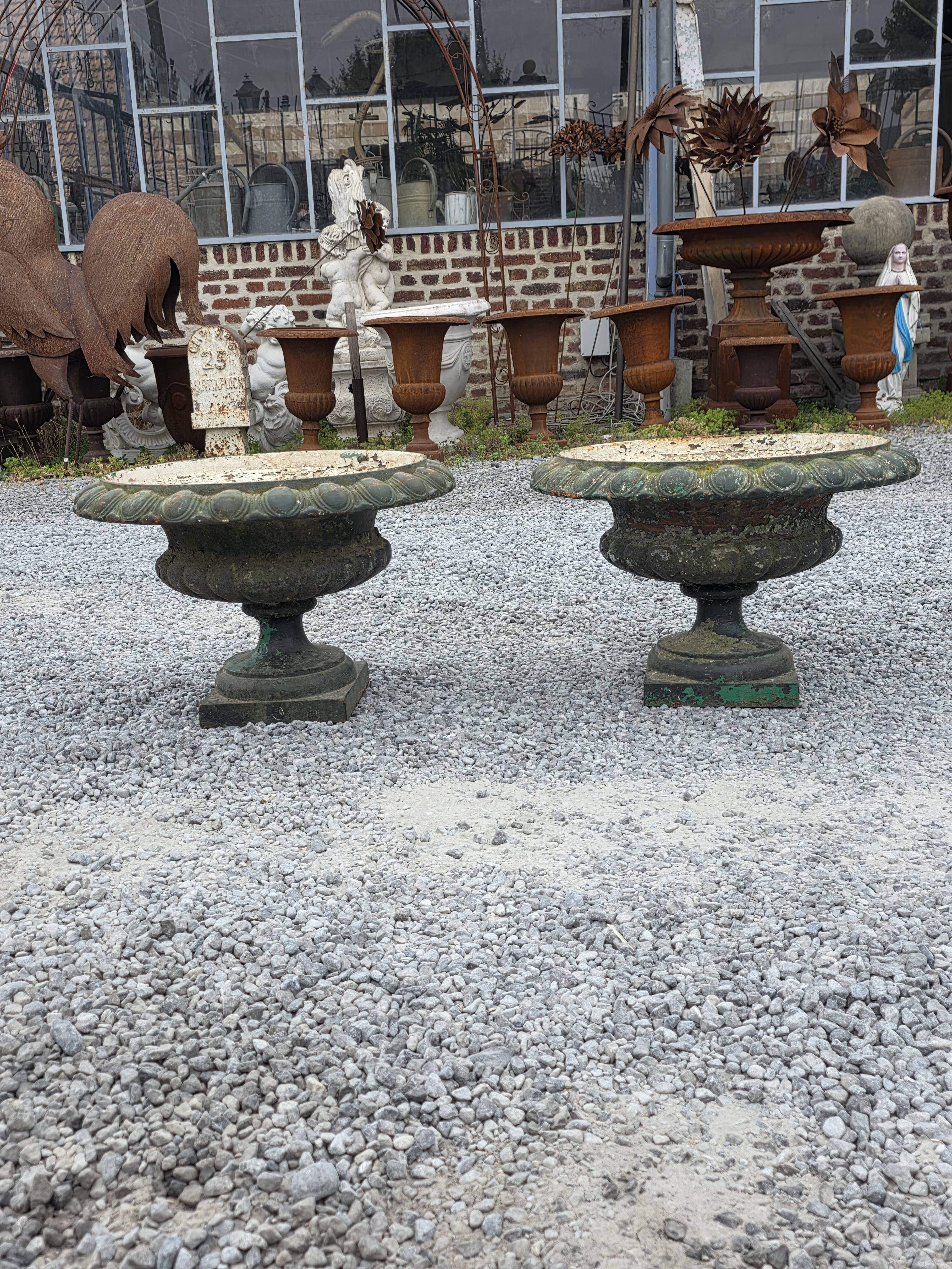 Pair of Medici vases in cast iron from the 19th century, 55cm wide.