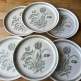 Ceramic plates