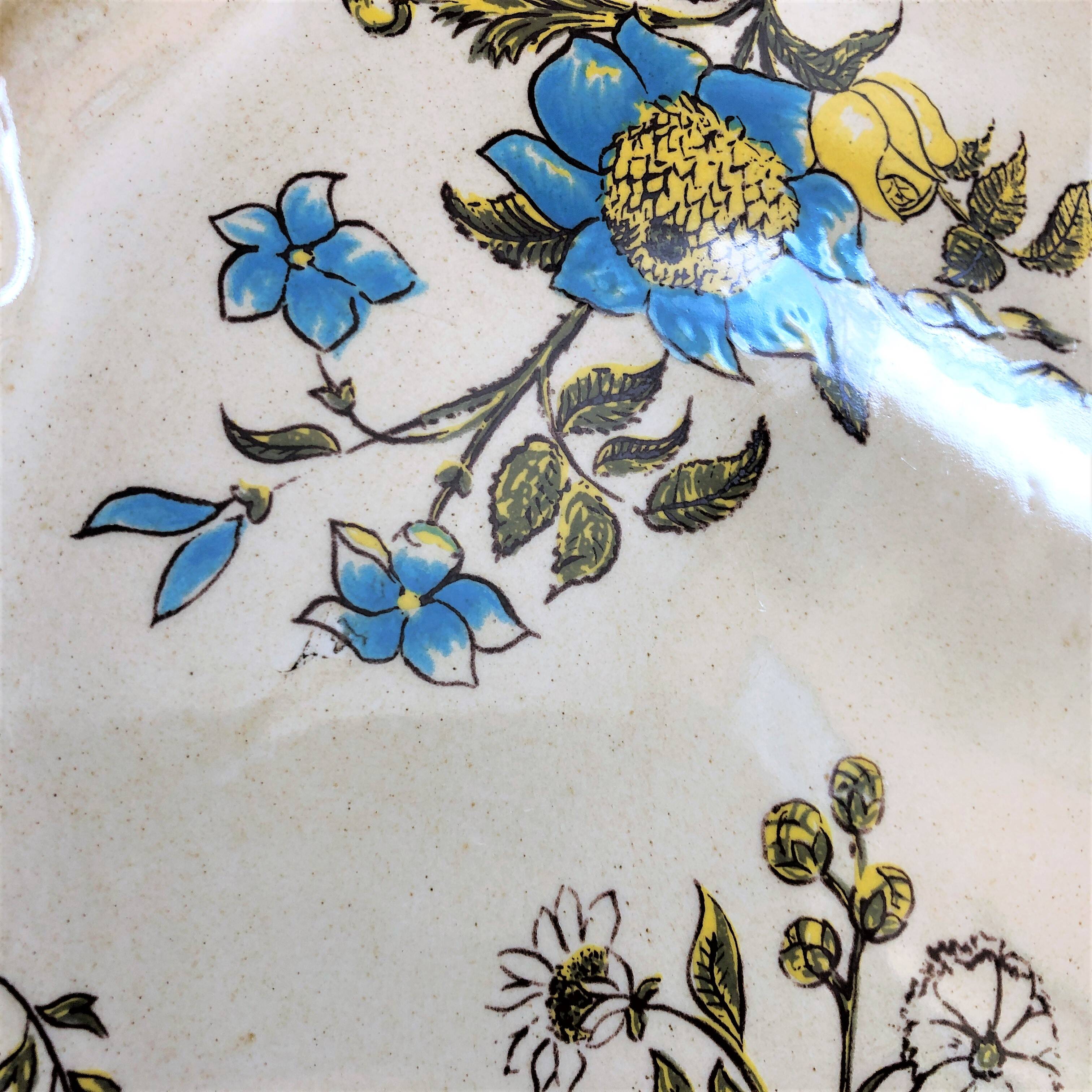 Decorative plate from Salins France decor Montpellier 25.5 cm