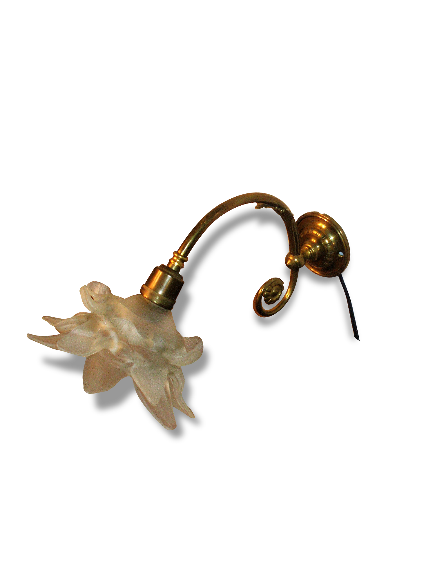 Tulip flower applique