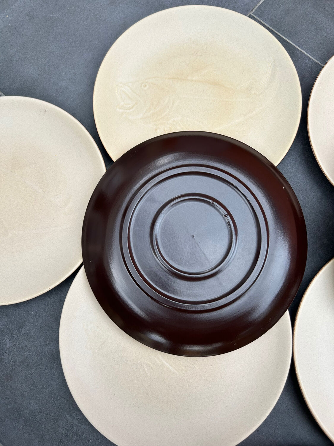 12 plates and stoneware saucière Fish