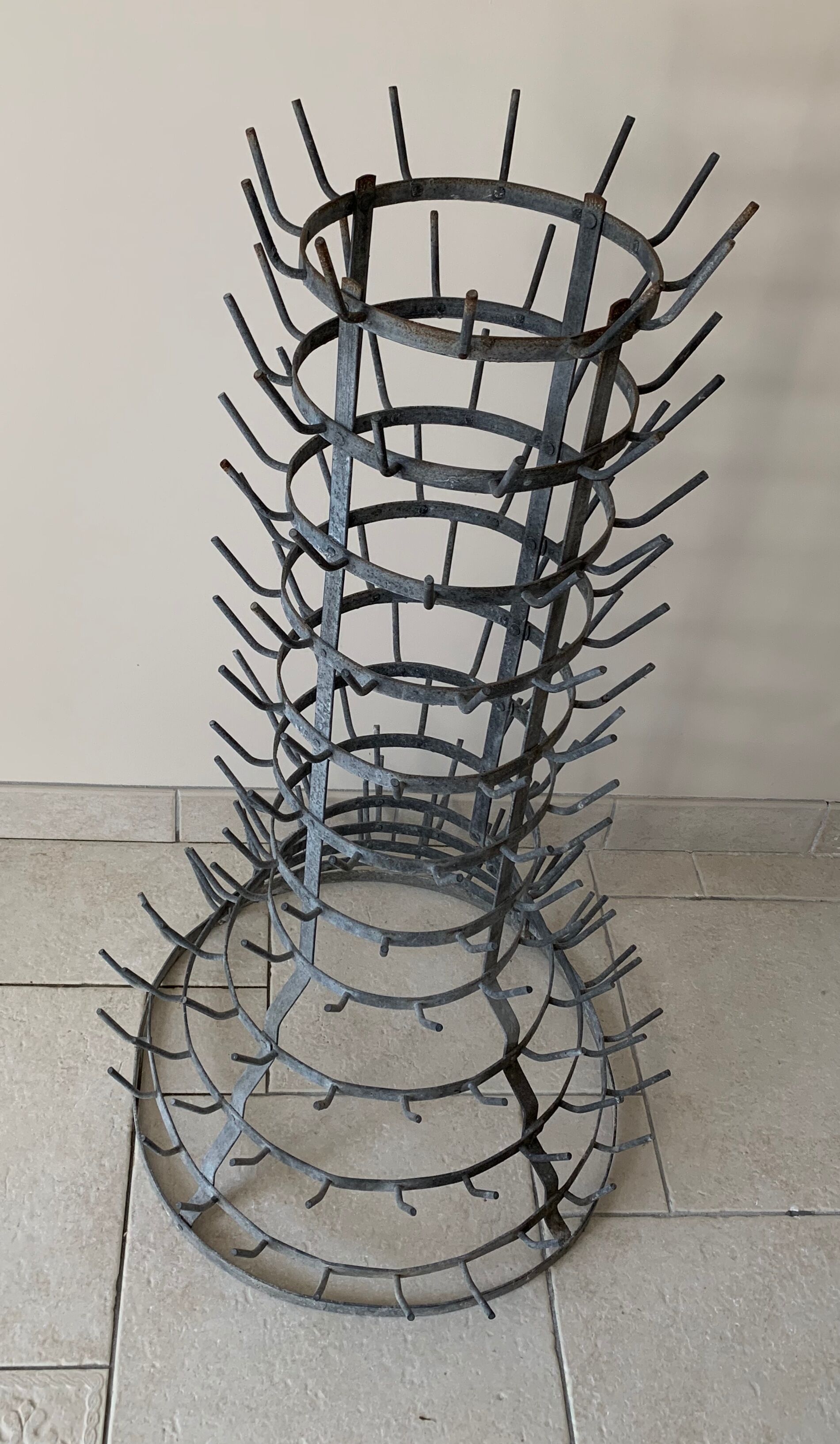 Bottle-borne hedgehog