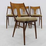 1950s Set of Four Restored Dining Chairs in Walnut, Czechoslovakia
