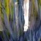 Large Murano glass vase, handmade, 38 cm high