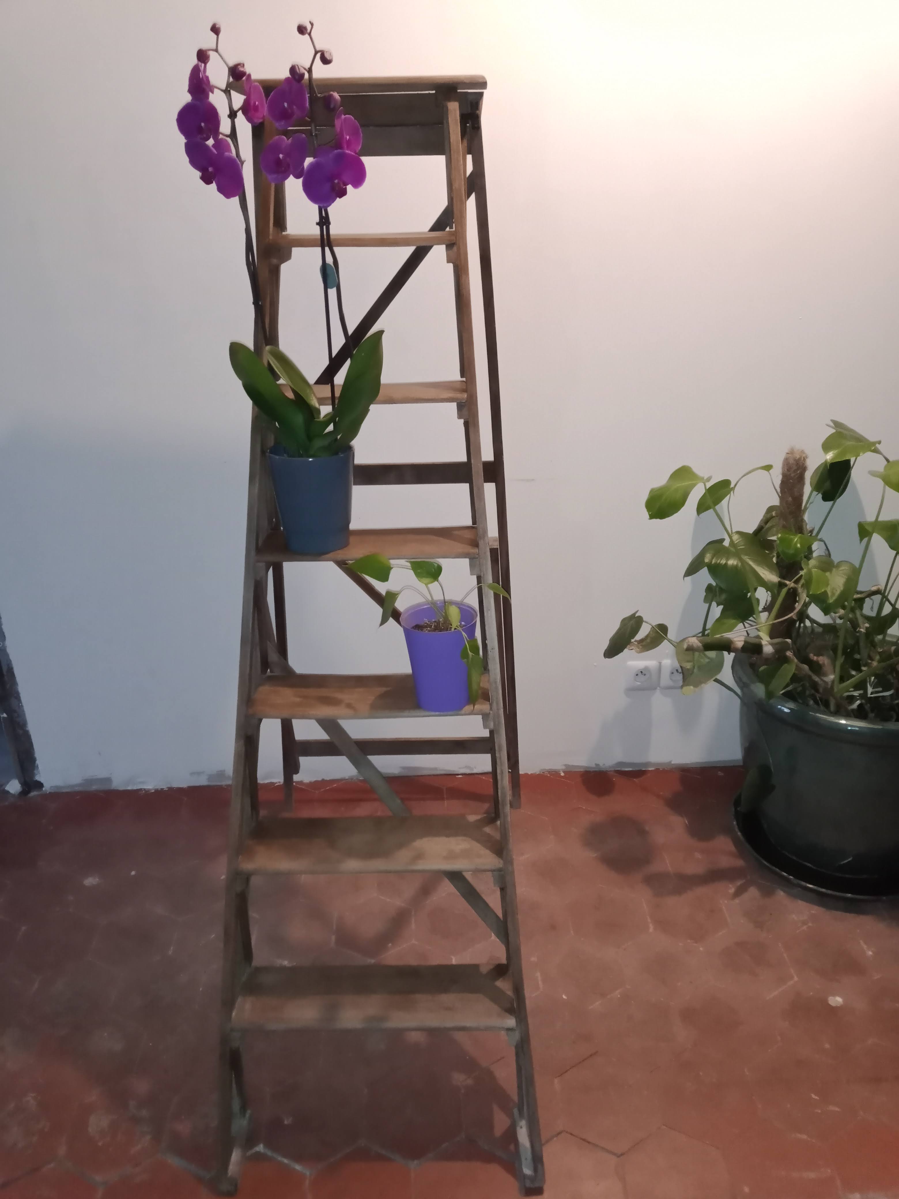 Old wooden stepladder six steps