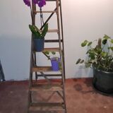 Old wooden stepladder six steps