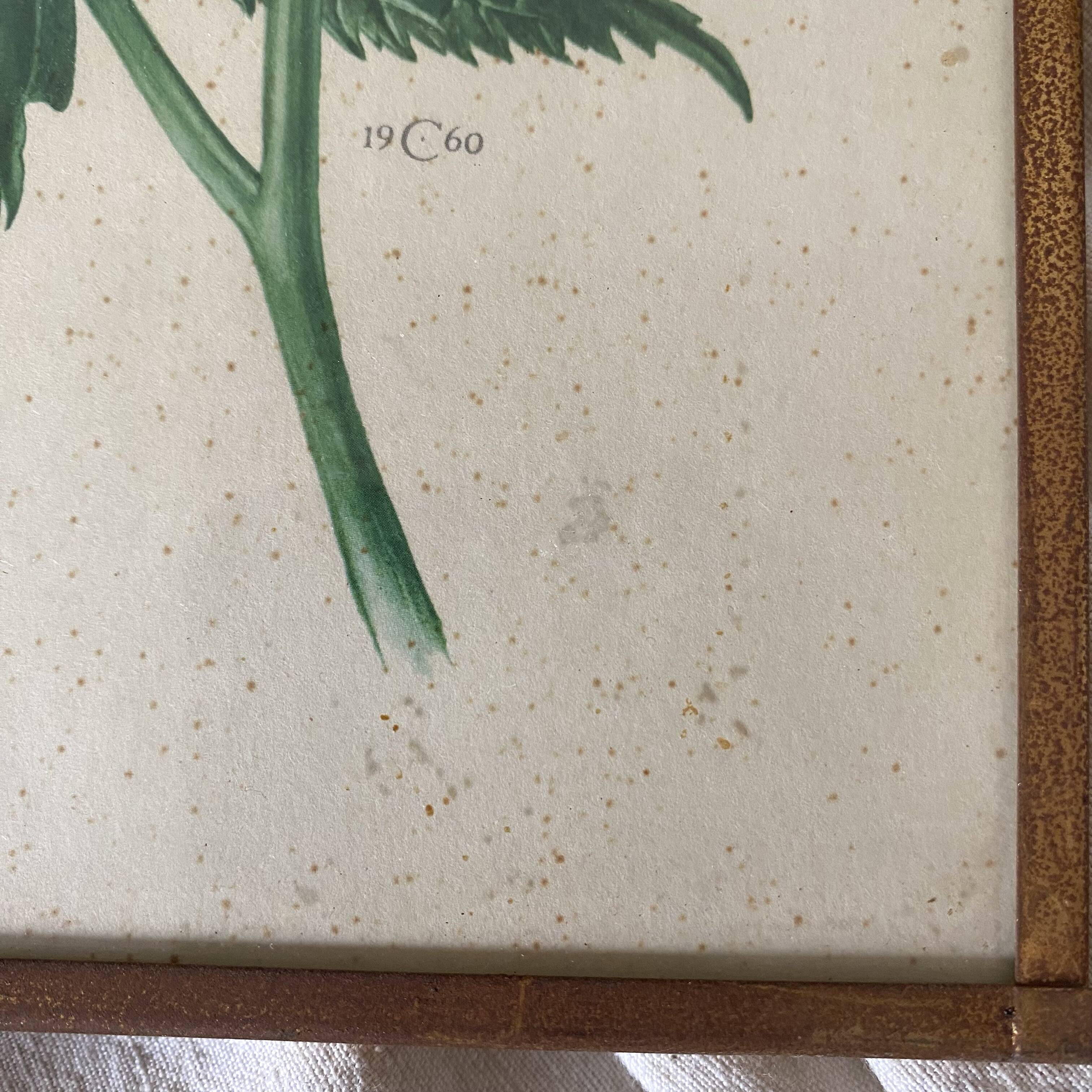 Botanical posters, flower and lemon lithographs, metal frame