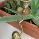 Bougeoir grenouille